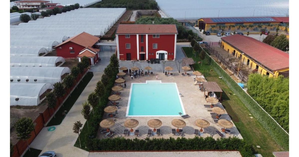 Agriturismo La Caffettiera Villa Sparanise Eksteriør billede